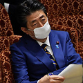 黒川弘務を国会証人喚問にかけよ - 賭博と収賄と買春に爛れた検察トップ_c0315619_15014521.png