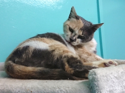 _f0078320_00080823.jpg
