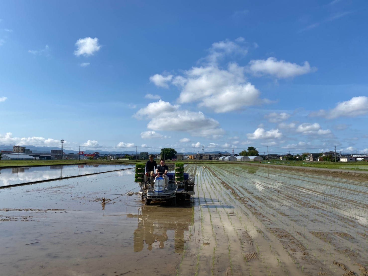 大丈夫米 御田植祭_f0067122_11291061.jpg