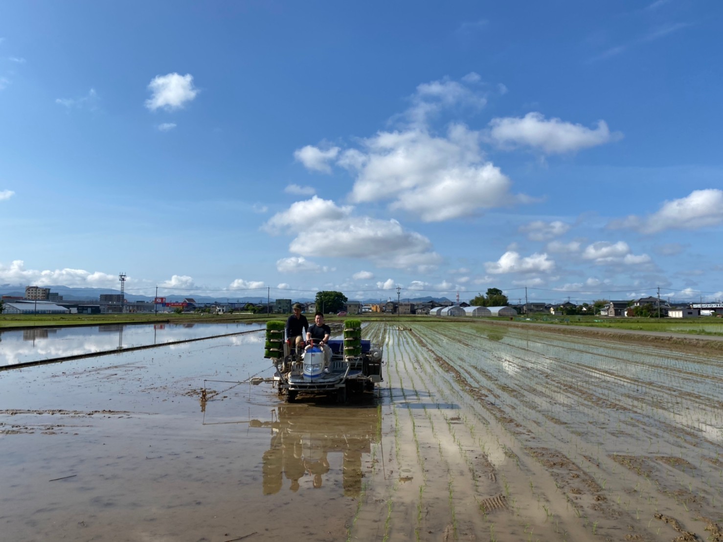 大丈夫米　御田植祭_f0067122_11291061.jpg