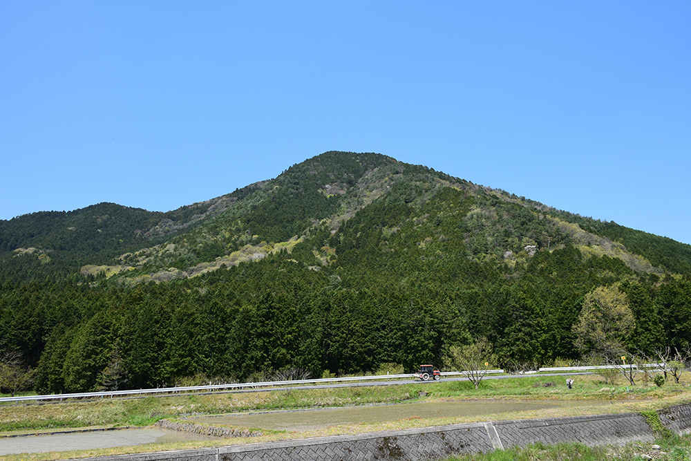 丹波小室城(東芦田城)攻城記。 その1 <胎蔵寺、旧胎蔵寺跡>_e0158128_11224937.jpg