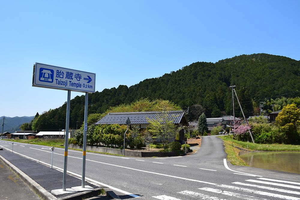 丹波小室城(東芦田城)攻城記。 その1 <胎蔵寺、旧胎蔵寺跡>_e0158128_11225296.jpg