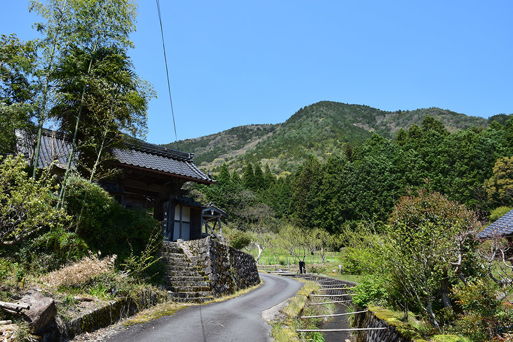丹波小室城(東芦田城)攻城記。 その1 <胎蔵寺、旧胎蔵寺跡>_e0158128_11321798.jpg