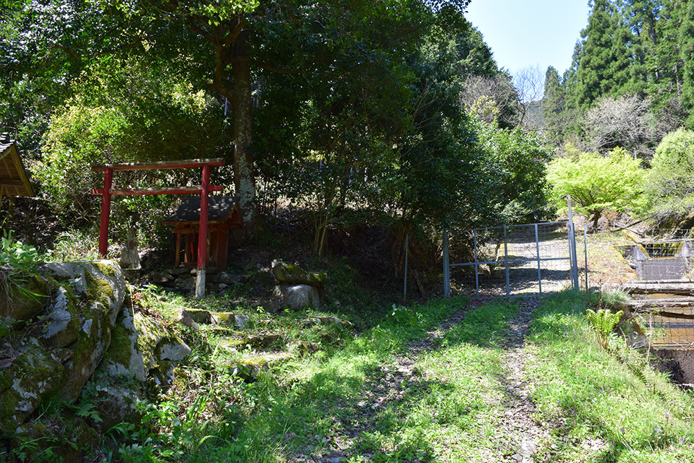 丹波小室城(東芦田城)攻城記。 その1 <胎蔵寺、旧胎蔵寺跡>_e0158128_11330406.jpg