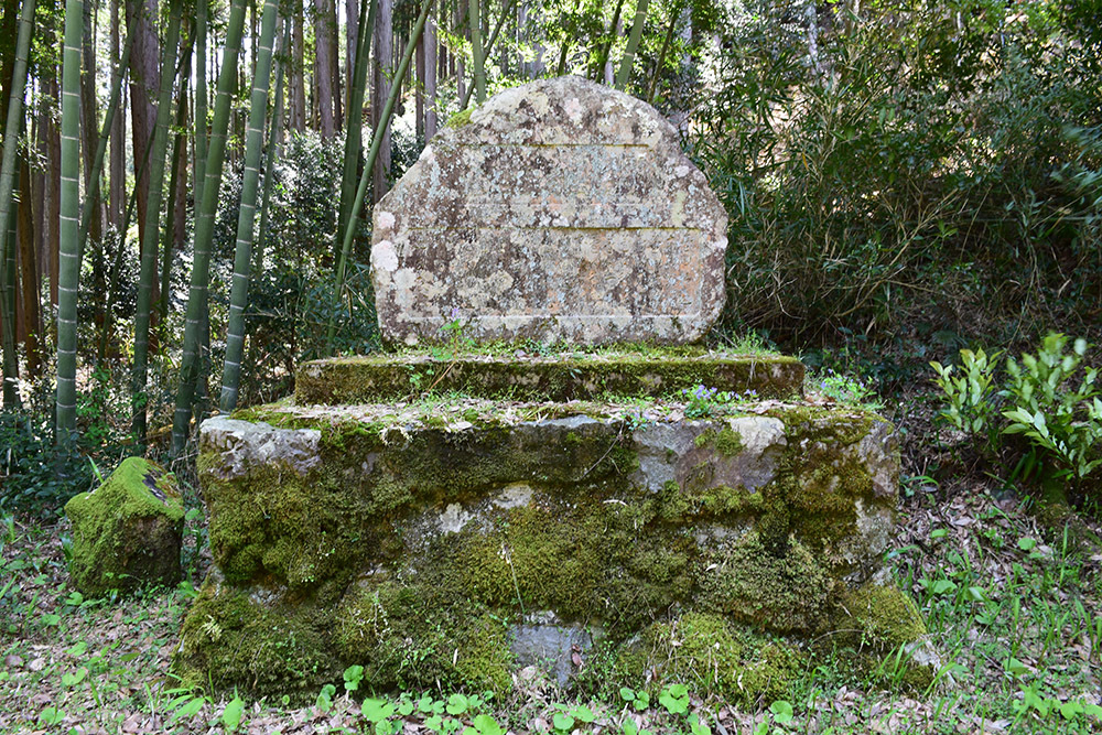 丹波小室城(東芦田城)攻城記。 その1 <胎蔵寺、旧胎蔵寺跡>_e0158128_11354449.jpg
