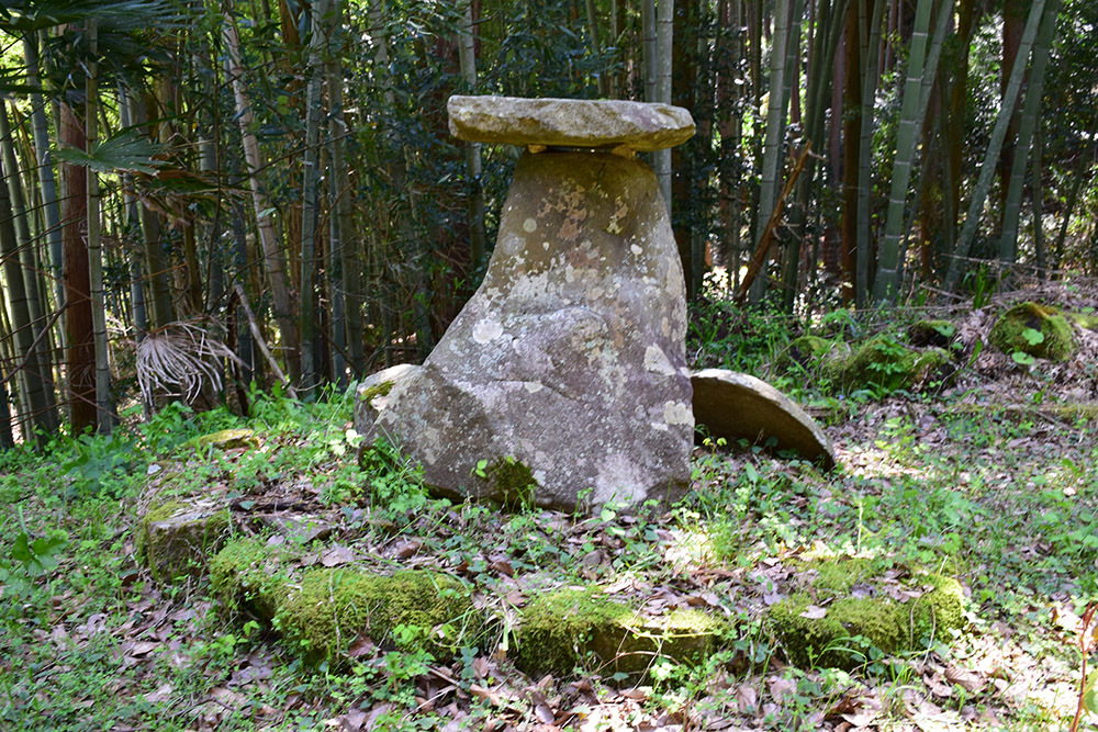 丹波小室城(東芦田城)攻城記。 その1 <胎蔵寺、旧胎蔵寺跡>_e0158128_11354893.jpg