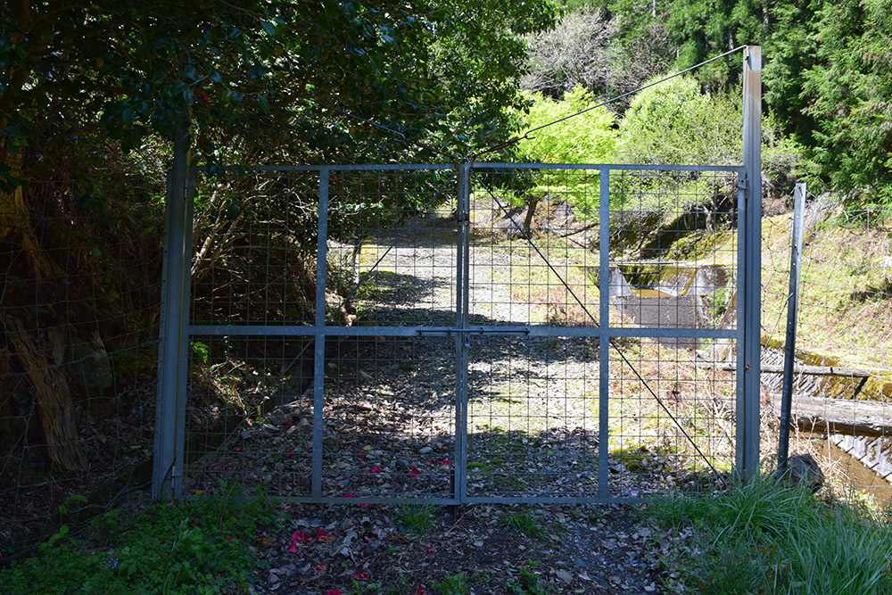 丹波小室城(東芦田城)攻城記。 その1 <胎蔵寺、旧胎蔵寺跡>_e0158128_11370459.jpg