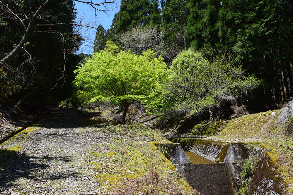丹波小室城(東芦田城)攻城記。 その1 <胎蔵寺、旧胎蔵寺跡>_e0158128_11390134.jpg