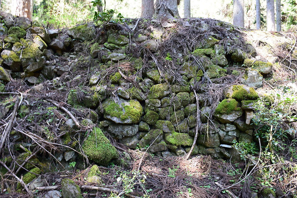 丹波小室城(東芦田城)攻城記。 その1 <胎蔵寺、旧胎蔵寺跡>_e0158128_11423689.jpg