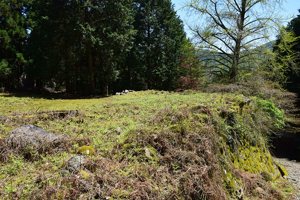 丹波小室城(東芦田城)攻城記。 その1 <胎蔵寺、旧胎蔵寺跡>_e0158128_11443454.jpg