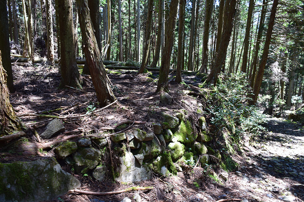 丹波小室城(東芦田城)攻城記。 その1 <胎蔵寺、旧胎蔵寺跡>_e0158128_11460683.jpg