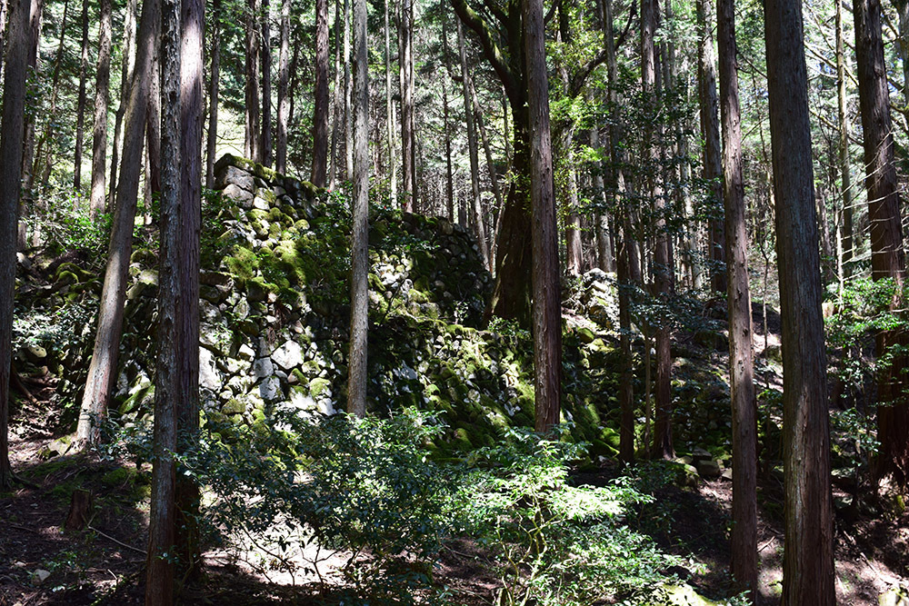 丹波小室城(東芦田城)攻城記。 その1 <胎蔵寺、旧胎蔵寺跡>_e0158128_11472178.jpg