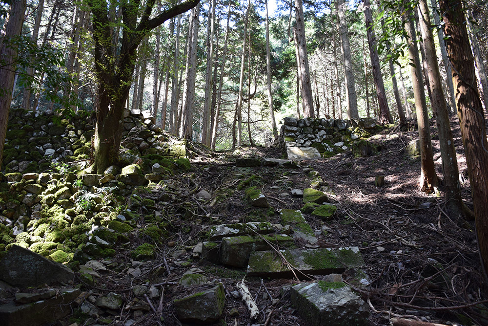 丹波小室城(東芦田城)攻城記。 その1 <胎蔵寺、旧胎蔵寺跡>_e0158128_11472538.jpg
