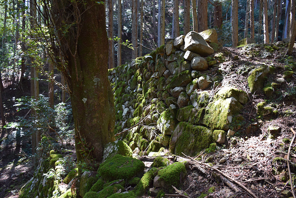 丹波小室城(東芦田城)攻城記。 その1 <胎蔵寺、旧胎蔵寺跡>_e0158128_11494418.jpg