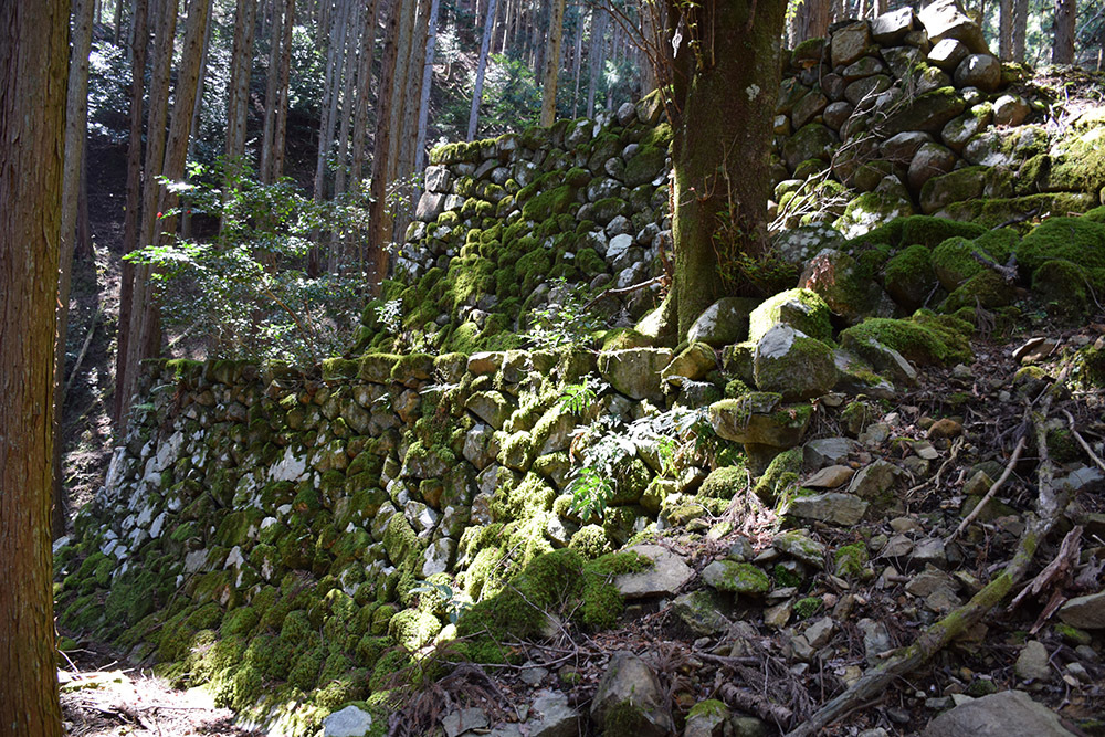丹波小室城(東芦田城)攻城記。 その1 <胎蔵寺、旧胎蔵寺跡>_e0158128_11510861.jpg