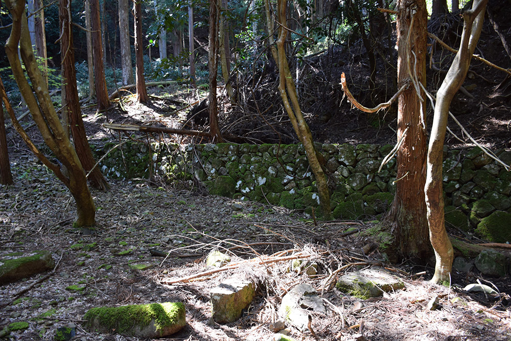 丹波小室城(東芦田城)攻城記。 その1 <胎蔵寺、旧胎蔵寺跡>_e0158128_11542687.jpg
