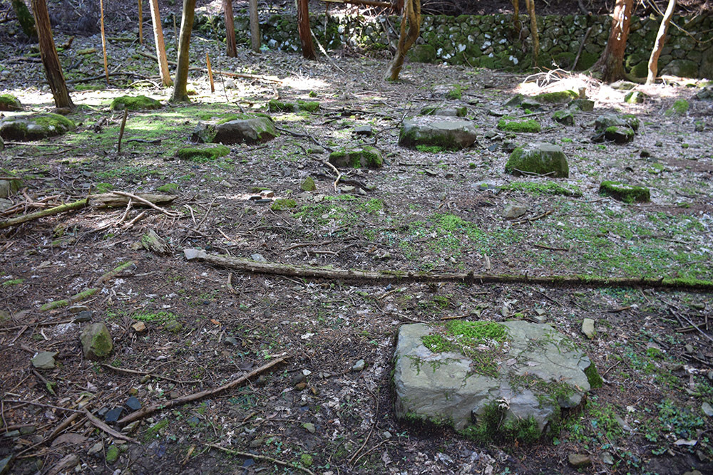 丹波小室城(東芦田城)攻城記。 その1 <胎蔵寺、旧胎蔵寺跡>_e0158128_11554747.jpg