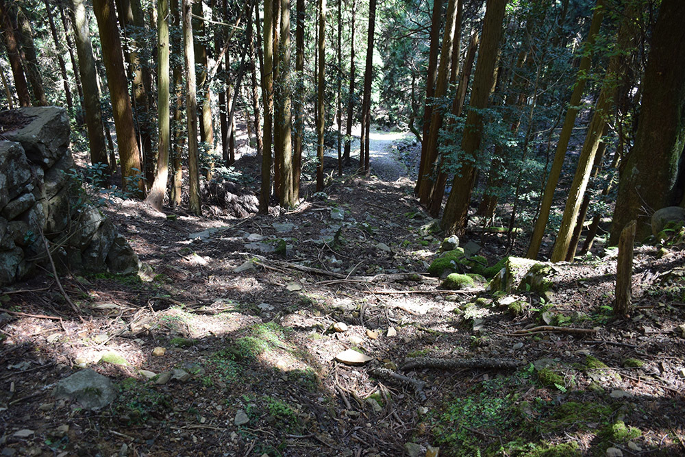 丹波小室城(東芦田城)攻城記。 その1 <胎蔵寺、旧胎蔵寺跡>_e0158128_11555107.jpg
