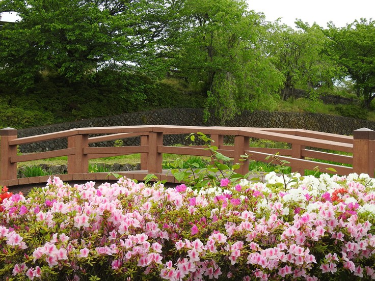 『神戸町ばら公園いこいの広場の薔薇風景』_d0054276_2014792.jpg