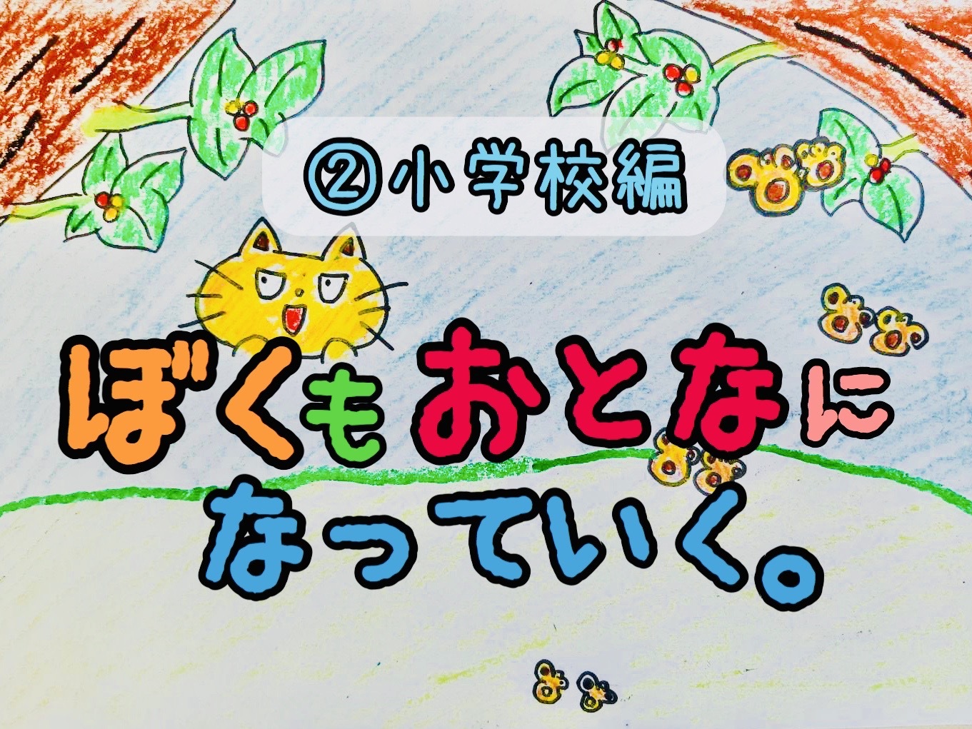 アニメ ぼくもおとなになっていく 小学校編 ネコと沖縄の生き物が登場する ほっこりストーリー ねこんちゅ通信 ネコのわくわく自然教室