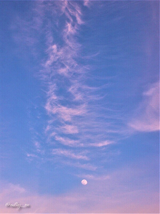 月と太陽_d0177586_15284628.jpg