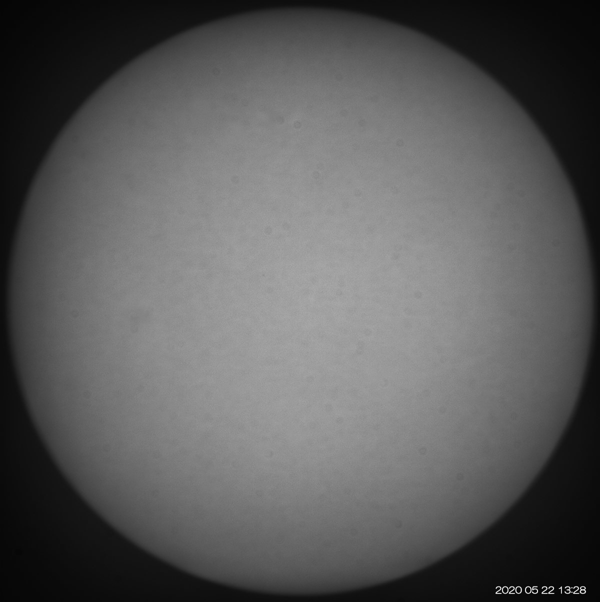 ５月２２日の太陽_e0174091_19110449.jpg