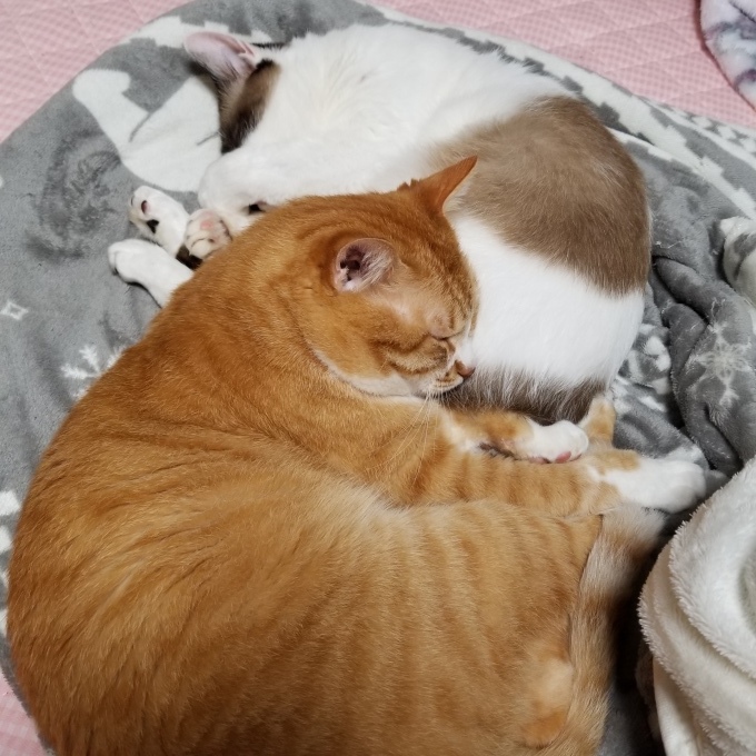 すきすき大好き♡7_c0369492_10591217.jpg