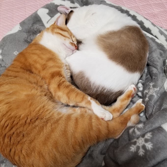 すきすき大好き♡7_c0369492_11003935.jpg