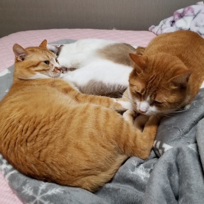 すきすき大好き♡7_c0369492_11015745.jpg