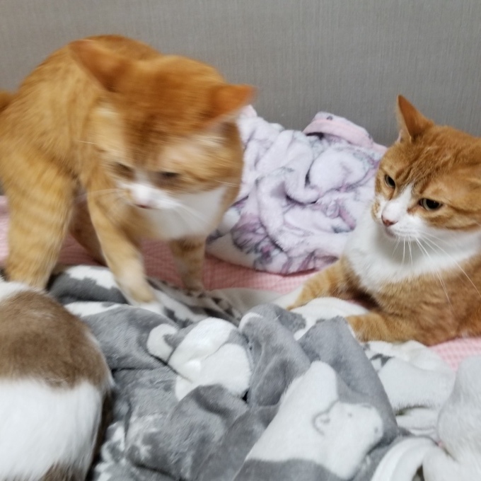 すきすき大好き♡7_c0369492_11043614.jpg