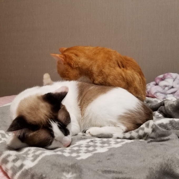 すきすき大好き♡7_c0369492_11251978.jpg