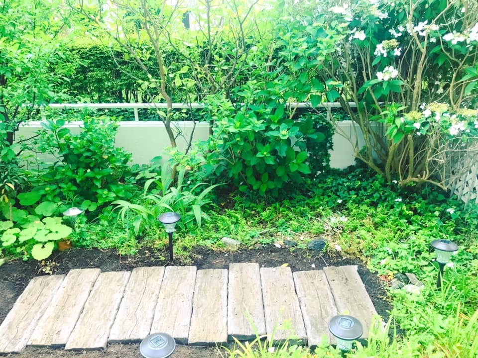 庭の大改造 雑草だらけの庭をローメンテナンスな庭に改造チャレンジ 横浜パン教室 世界の料理教室 ガストロノマードのtastytravel