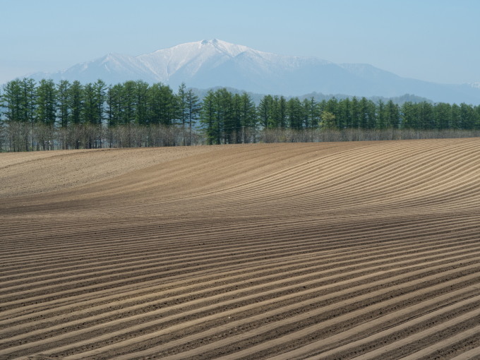 5月下旬は新緑の季節・・畑の畝模様が風景のアクセントに!_f0276498_18060208.jpg