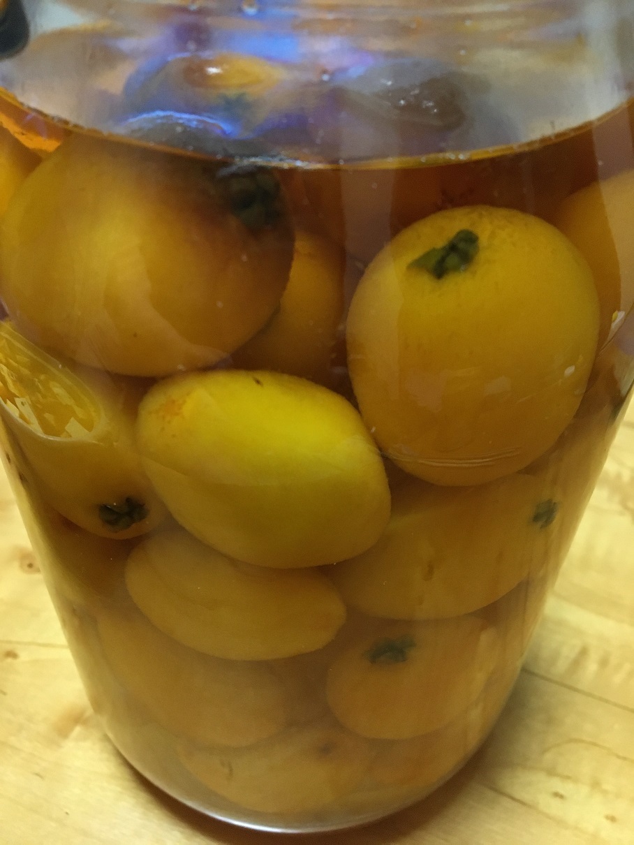 お家時間がふえると アイマグブログ ルノー松山 森 幸之助