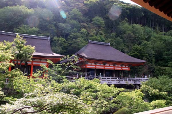 清水寺　もう夏気配_e0048413_20364998.jpg