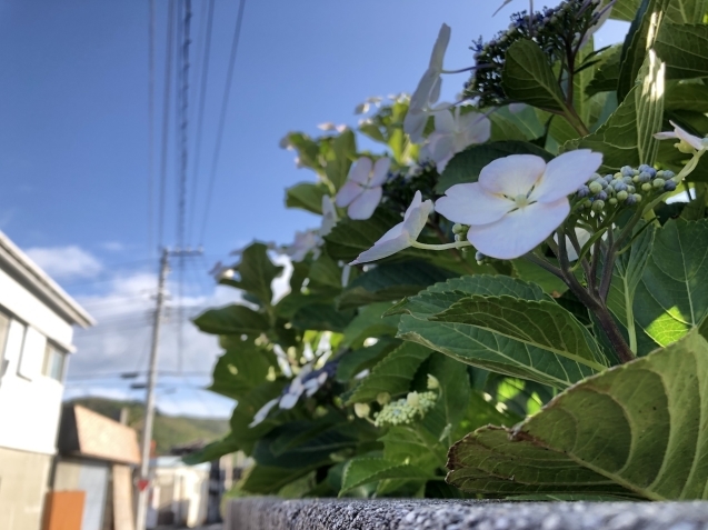 雨の季節が近づくと_e0023517_19044923.jpg