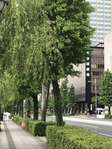 休業日ブログ・その43_e0195325_18043503.jpeg