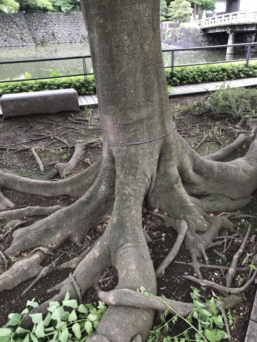 休業日ブログ・その43_e0195325_18051012.jpeg