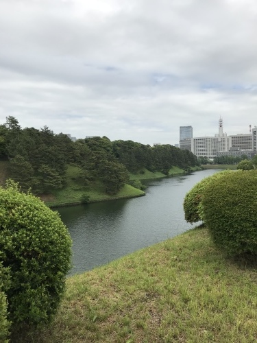休業日ブログ・その43_e0195325_18061777.jpeg