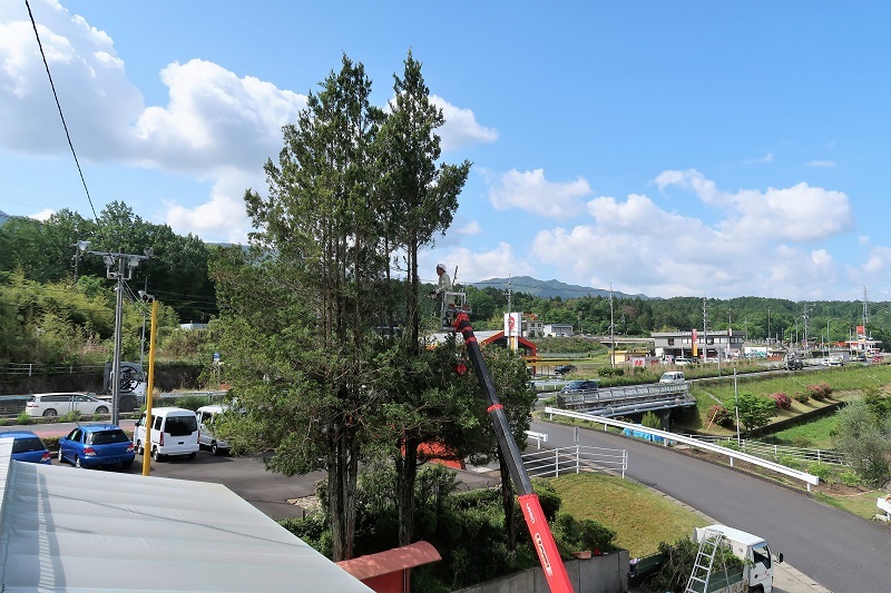 翌桧の剪定と初代WRXのテスト走行_f0076731_20271385.jpg
