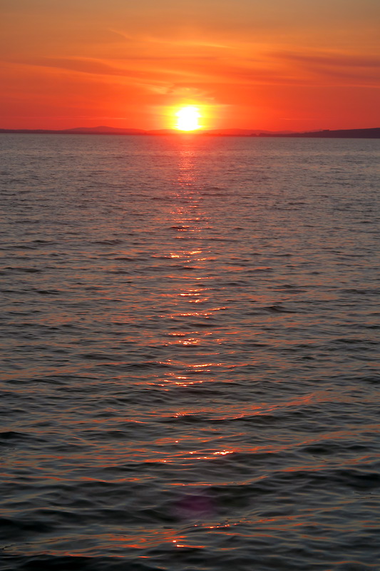 久しぶりに友とバラの園 夕日の湖、トラジメーノ湖_f0234936_6464781.jpg