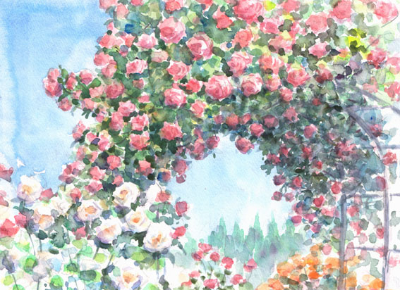 水彩画 風景画・花 薔薇・原画