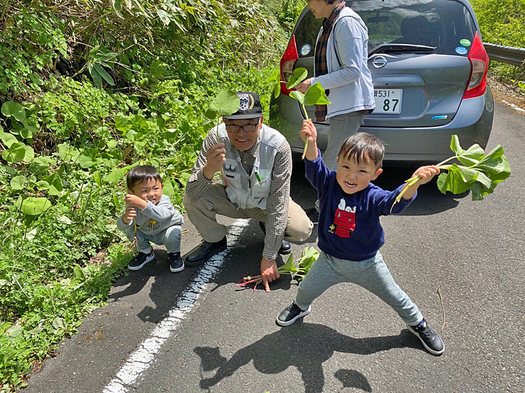 大万木山大階段*イワカガミ*_f0214649_20331104.jpg