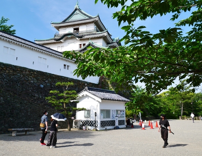 　　和歌山城天守閣 再開　　２０２０-０５-２４　００：００ 　　　　_b0093754_21230873.jpg