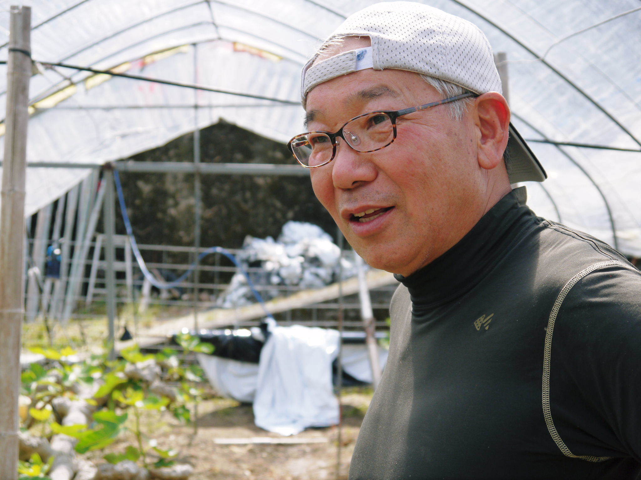 甘熟いちじく 芽吹きと芽カギ&脇芽カギ作業(2020)惜しまぬ手間ひまと匠の技で甘く美味しく育て上げます_a0254656_18092411.jpg