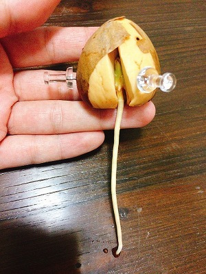 小さな楽しみ_c0248067_09172984.jpg