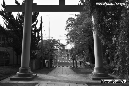 【おっ散歩カメラ放浪記:第6回】青葉神社とカラスコ_b0008475_08151275.jpg