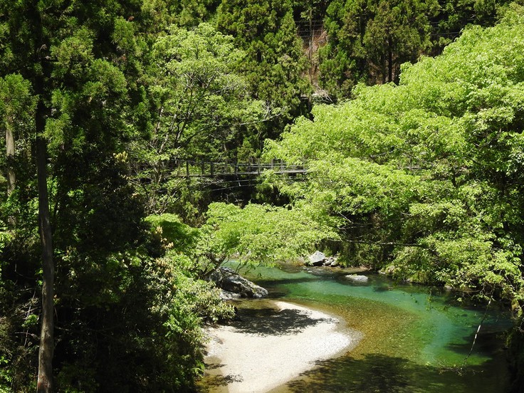 渓流風景 神崎川と円原川 自然風の自然風だより 渓流風景 神崎川と円原川 自然風の自然風だより