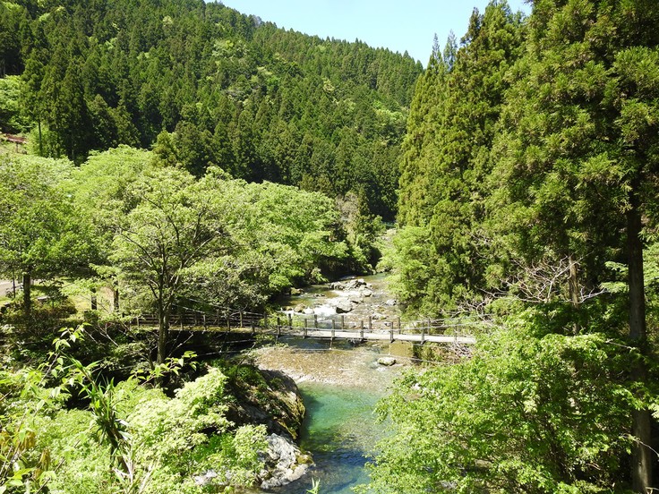 『渓流風景(神崎川と円原川)』_d0054276_20172393.jpg