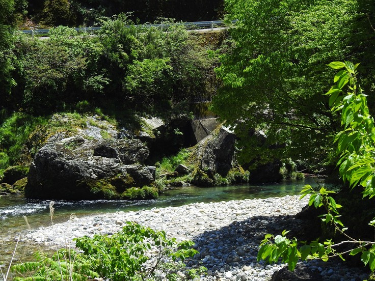 『渓流風景(神崎川と円原川)』_d0054276_2018335.jpg